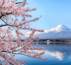 日本人が日本を愛する理由といえば何？外国人は見落としがちなことを教えて