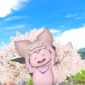 その花、まだ買うな。4月相場と暴落予想