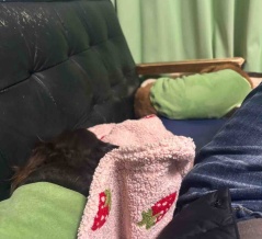 特記事項ナシ。選挙ってか。