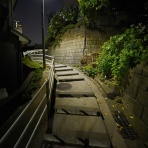 夜散歩のススメ