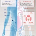 35歳からでも美尻はつくれる？本当に効く筋トレ方法って？