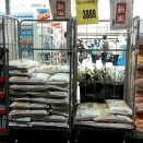 お米