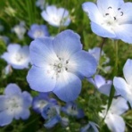 ホント、イエロー・マジック！