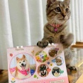 2027年もかぼちゃんと一緒に♡ カレンダー発売のお知らせ