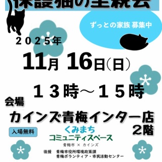 青梅ニャンだふる☆Life