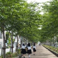 古い看板が懐かしい...