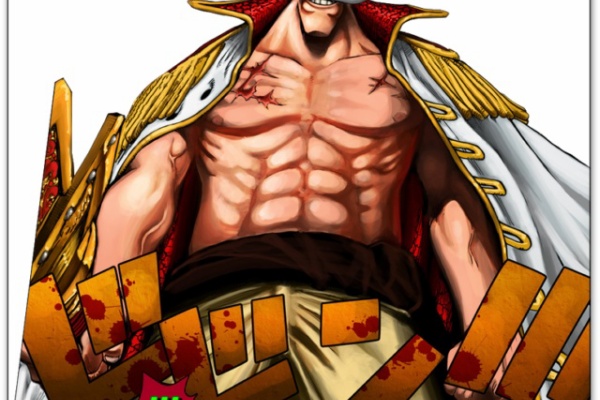 天花繚乱 ワンピース