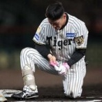 一緒に阪神タイガースを応援しよう！
