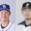 中日京田と日ハム中田のトレードってどうや？