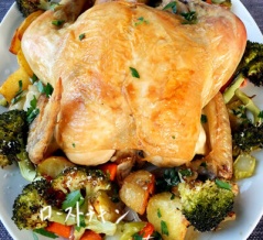 呆れて言葉も出ないクリスマスカード