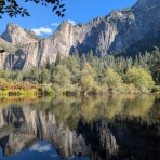 はすはすのBerkeley Law漂流記