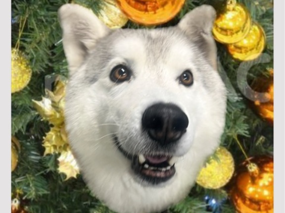 皆んなでMerry Xmas🤶👌💕