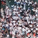高校野球見てます⚾