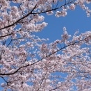 昨日は新規面談2件