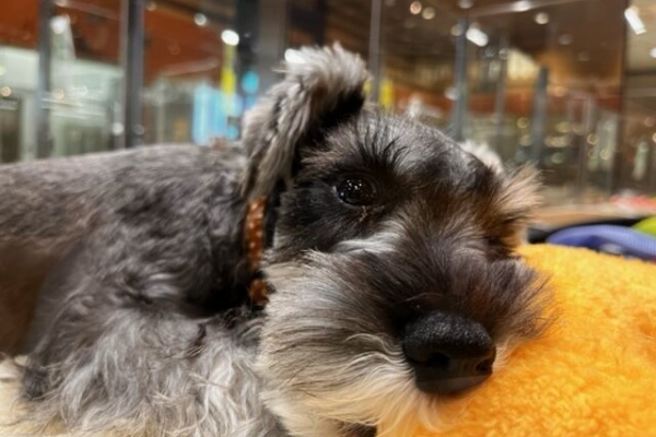 福岡県粕屋郡 ワンラブ カインズ福岡新宮町店ブログ