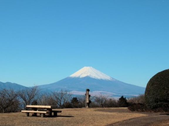 「静岡県」の悪いところって何？