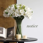 CHIC & DECO    /    Daily Life