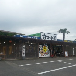 海鮮丼 関東b級グルメドライブ ちょに らいでん がメタボで帰還 海鮮丼 関東b級グルメドライブ ちょに らいでん がメタボで帰還