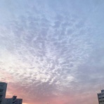 空もよう、心もよう ～ sora koko.