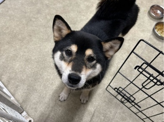 今日も沢山のボランティアさんが来て下さいました🙏💓🙏