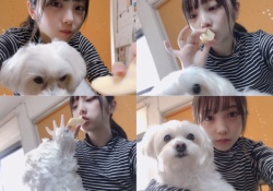 犬、そこ代われｗ 与田祐希ちゃんに抱っこされる犬が超絶うらやまｗｗｗ 【乃木坂46】