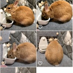 この日の思い出