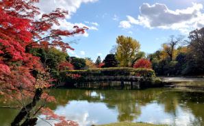 京都仙洞御所のお庭で紅葉堪能