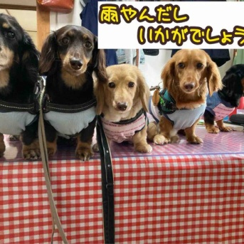 長い長いヒート。