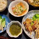 おかんの毎日と食事と猫