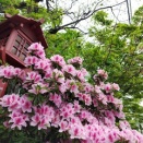 ◆プール◆買い物ゆきウォーキング