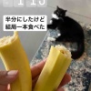 【ご飯日記】ちょこちょこ食べ続けていた1日だった【1800kcal】