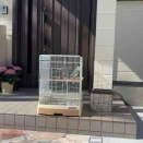 鳥の家