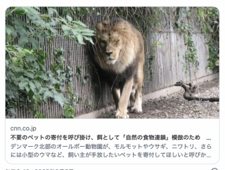 不要なペットは動物園に餌として寄付しよう！無駄が無くなり肉食動物も健康になる！