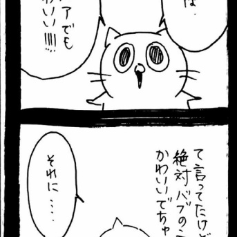 赤ちゃん自認ねこ2