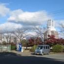 岐阜県大垣市&海津市移動