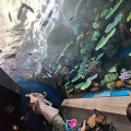須磨シーワールド🐬&今日の様子