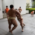 東日本学生相撲選手権大会結果報告