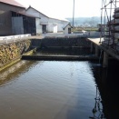 釣り堀風な温泉で釣られるのは誰だ？