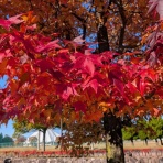 富山ライフ満喫