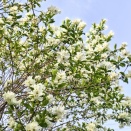 健康第一、でも仕事も。。。私が今、迷っていること