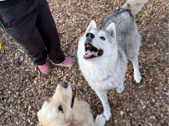 笑顔溢れるワンワンパラダイス❤️❤️❤️