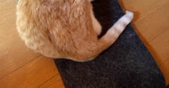抜けすぎ