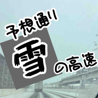 メルロコ一家の横須賀ストーリー