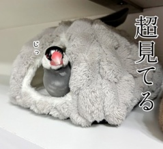 どっちもバレてる