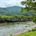 ファミリーヒストリー３日目の旅｜黒部峡谷トロッコ電車＆白川郷