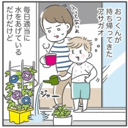植物って癒し…ですね…
