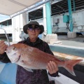 マダイ釣り