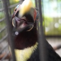 掛川花鳥園　その2