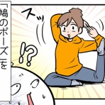 かめちゃり！(亀が無理してロードバイク乗ってみた)