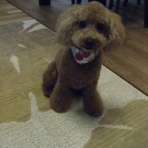 一葉万里の船の道